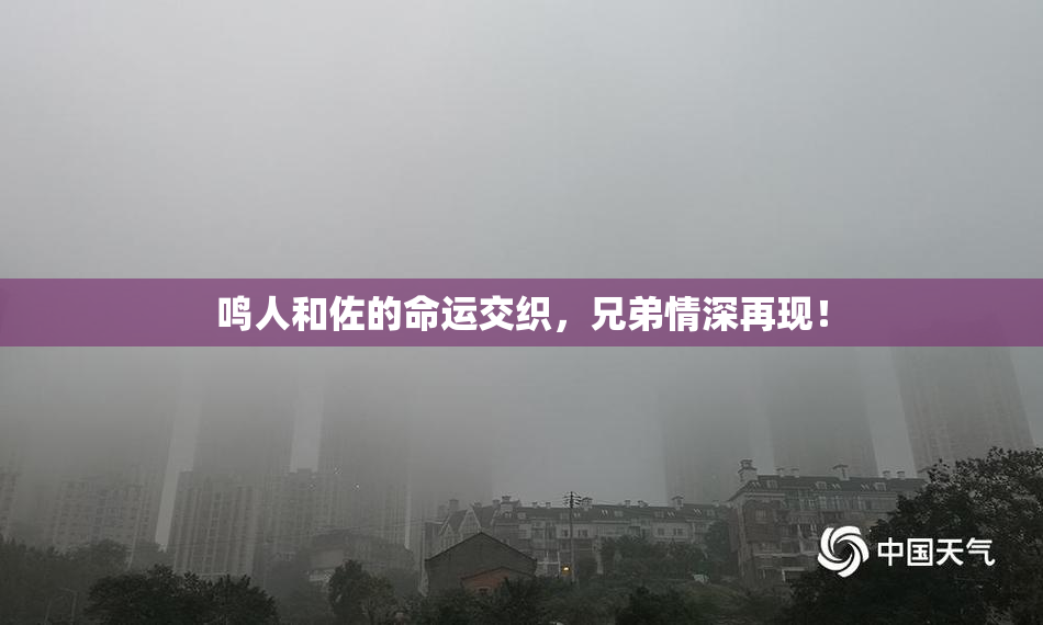 鸣人和佐的命运交织，兄弟情深再现！