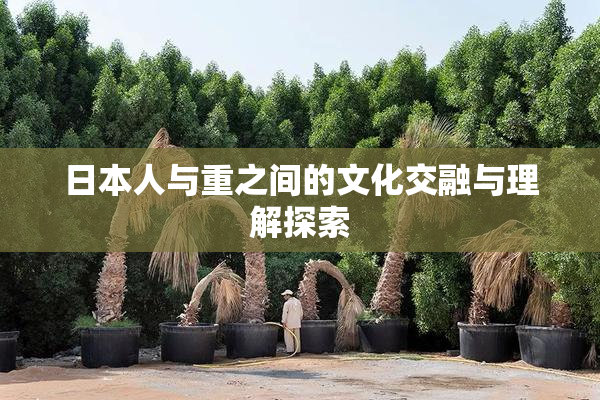 日本人与重之间的文化交融与理解探索