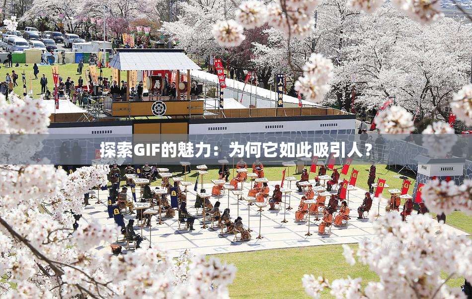 探索GIF的魅力：为何它如此吸引人？