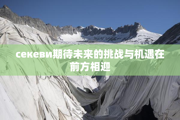ceкеви期待未来的挑战与机遇在前方相迎