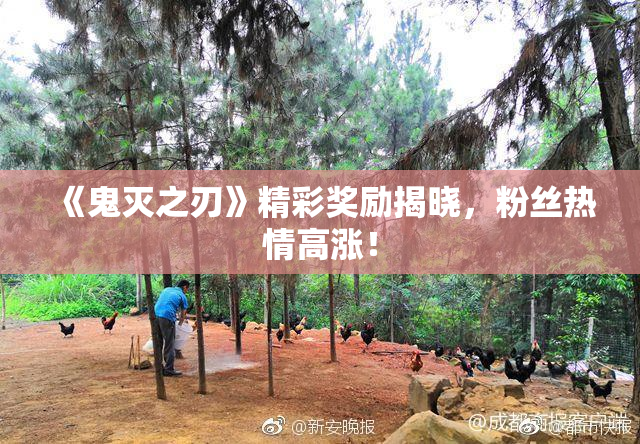 《鬼灭之刃》精彩奖励揭晓，粉丝热情高涨！
