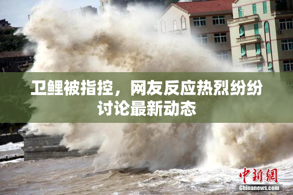 卫鲤被指控，网友反应热烈纷纷讨论最新动态