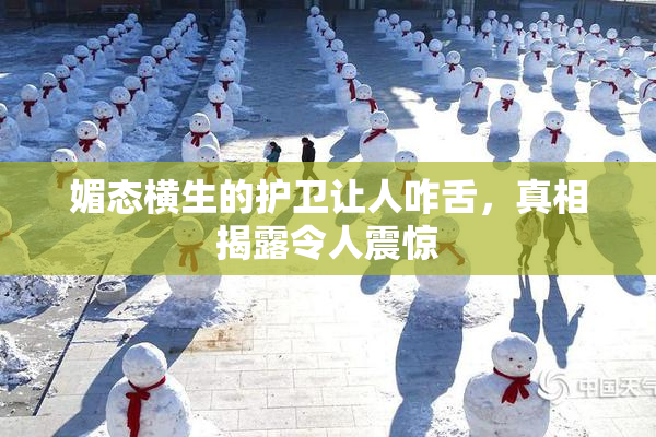 媚态横生的护卫让人咋舌，真相揭露令人震惊
