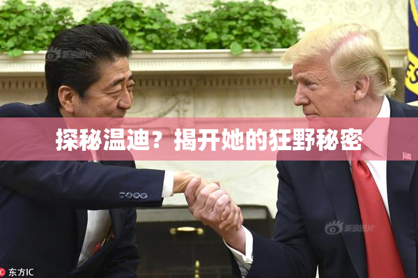 探秘温迪？揭开她的狂野秘密