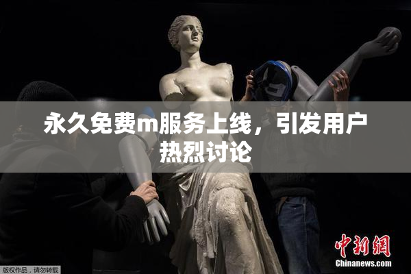 永久免费m服务上线，引发用户热烈讨论