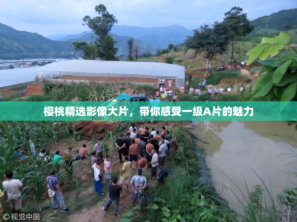 樱桃精选影像大片，带你感受一级A片的魅力