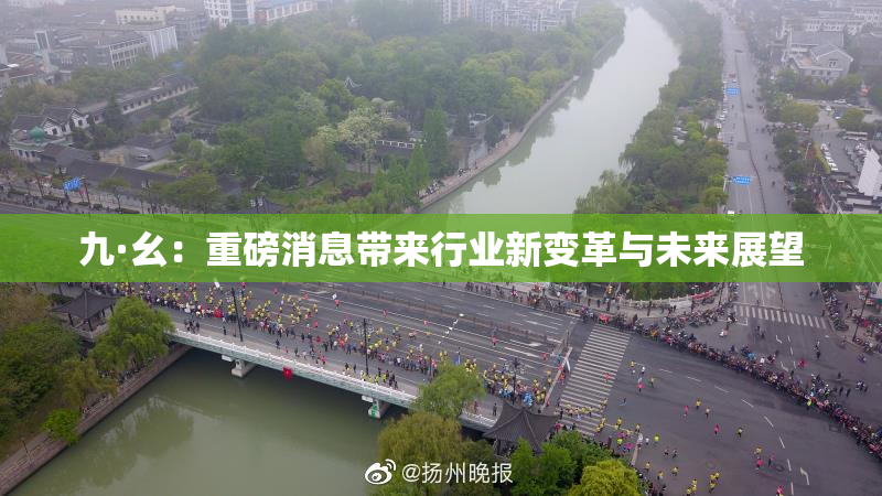 九·幺：重磅消息带来行业新变革与未来展望