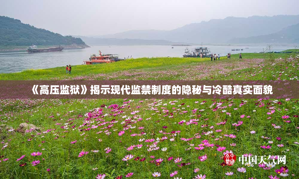 《高压监狱》揭示现代监禁制度的隐秘与冷酷真实面貌