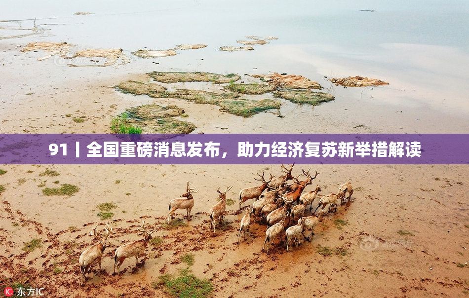 91丨全国重磅消息发布，助力经济复苏新举措解读