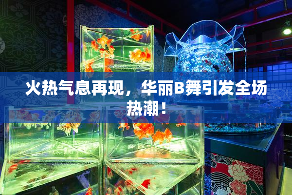 火热气息再现，华丽B舞引发全场热潮！