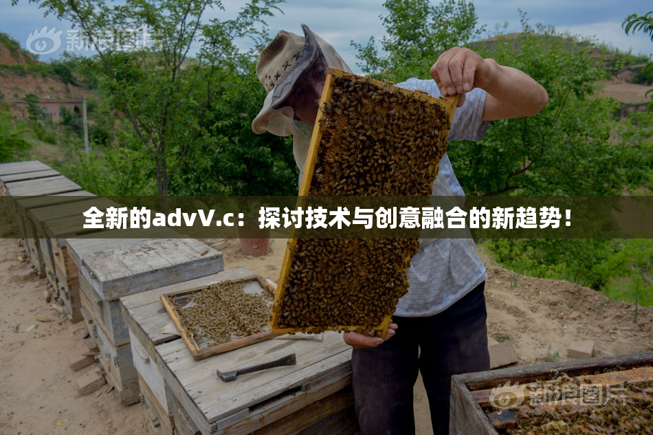 全新的advV.c：探讨技术与创意融合的新趋势！