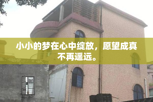 小小的梦在心中绽放，愿望成真不再遥远。