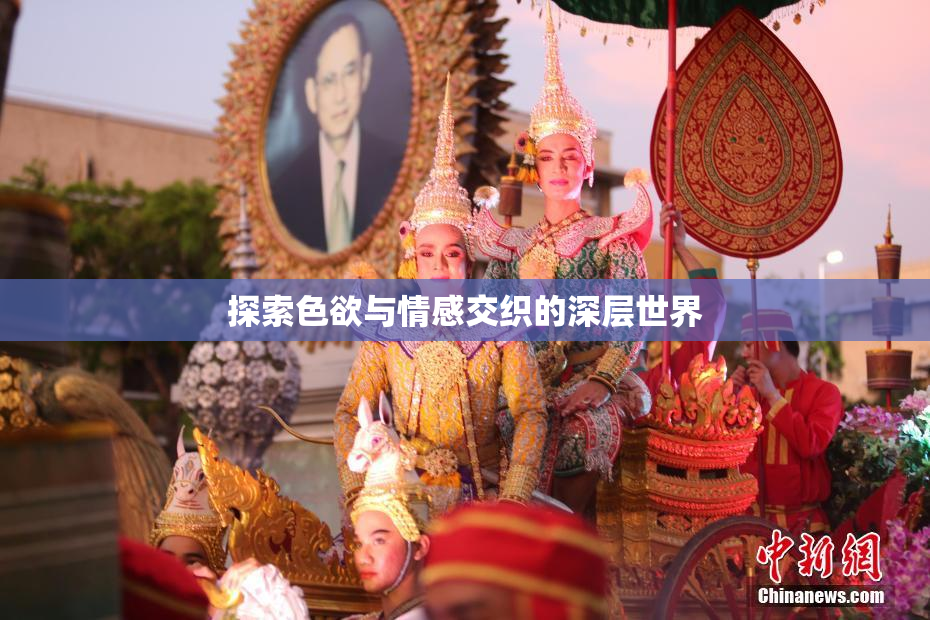 探索色欲与情感交织的深层世界