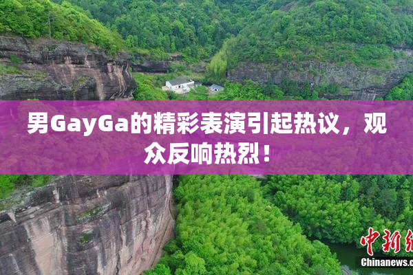 男GayGa的精彩表演引起热议，观众反响热烈！