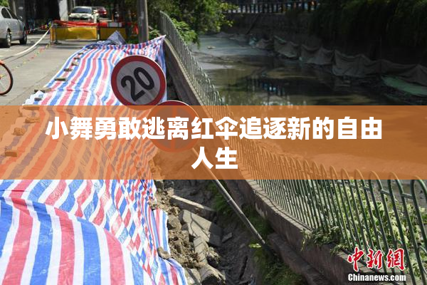 小舞勇敢逃离红伞追逐新的自由人生