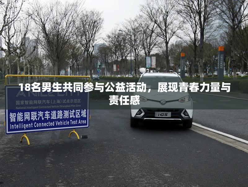 18名男生共同参与公益活动，展现青春力量与责任感