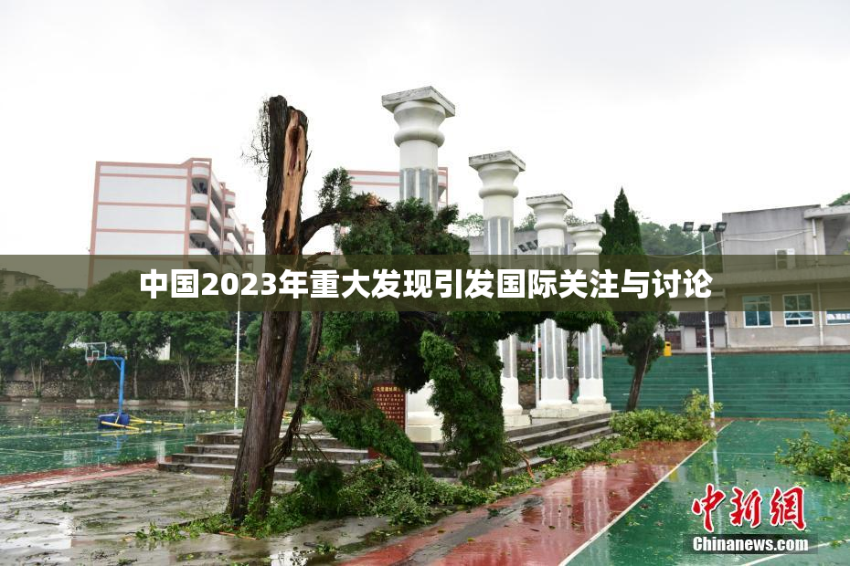 中国2023年重大发现引发国际关注与讨论