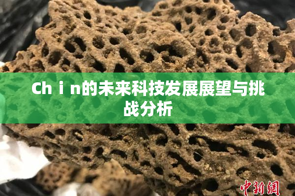 Chⅰn的未来科技发展展望与挑战分析