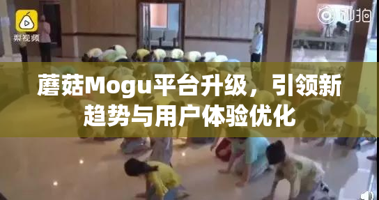 蘑菇Mogu平台升级，引领新趋势与用户体验优化