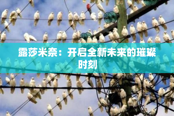 露莎米奈：开启全新未来的璀璨时刻
