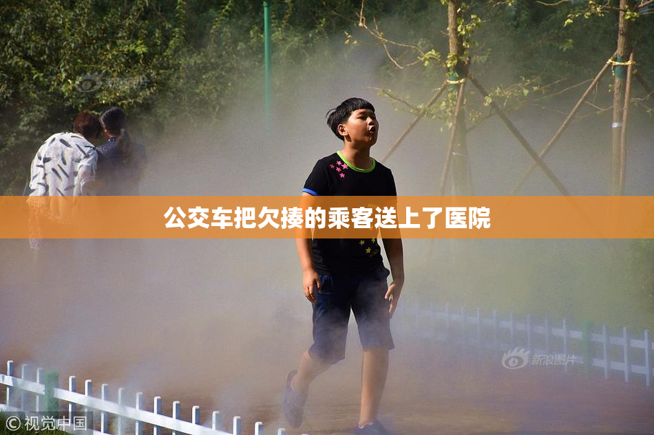 公交车把欠揍的乘客送上了医院