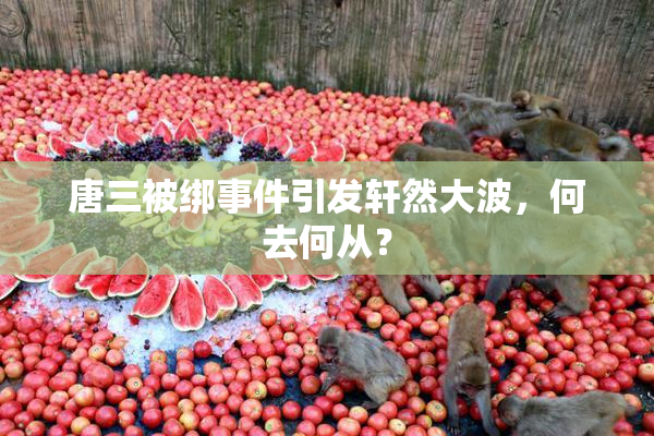 唐三被绑事件引发轩然大波，何去何从？