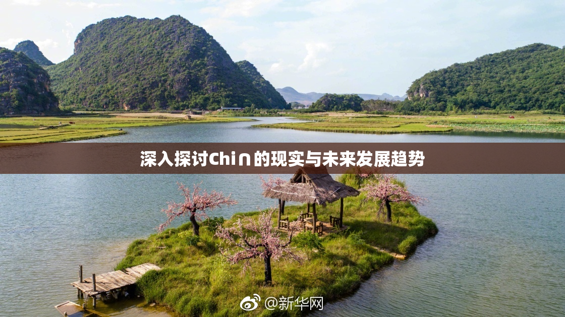 深入探讨Chi∩的现实与未来发展趋势