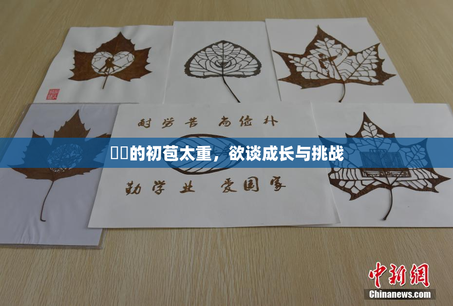 妺妺的初苞太重，欲谈成长与挑战