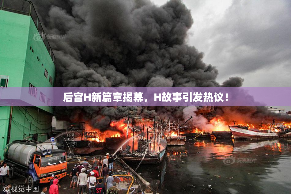后宫H新篇章揭幕，H故事引发热议！