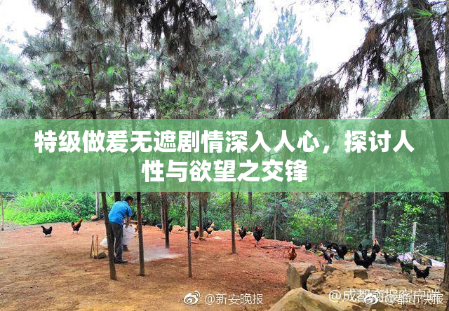 特级做爰无遮剧情深入人心，探讨人性与欲望之交锋