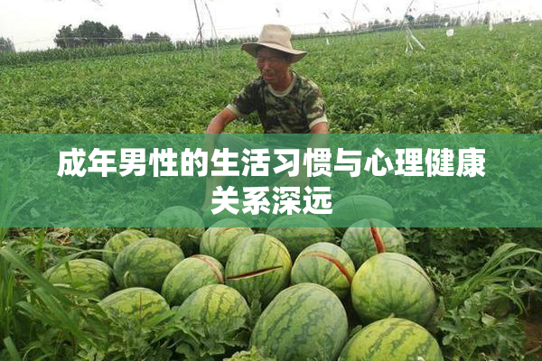 成年男性的生活习惯与心理健康关系深远