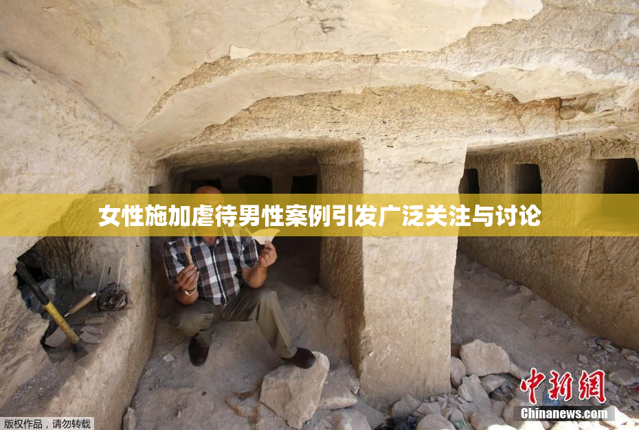 女性施加虐待男性案例引发广泛关注与讨论