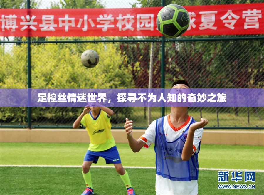 足控丝情迷世界，探寻不为人知的奇妙之旅