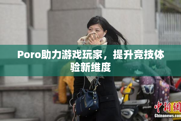 Poro助力游戏玩家，提升竞技体验新维度