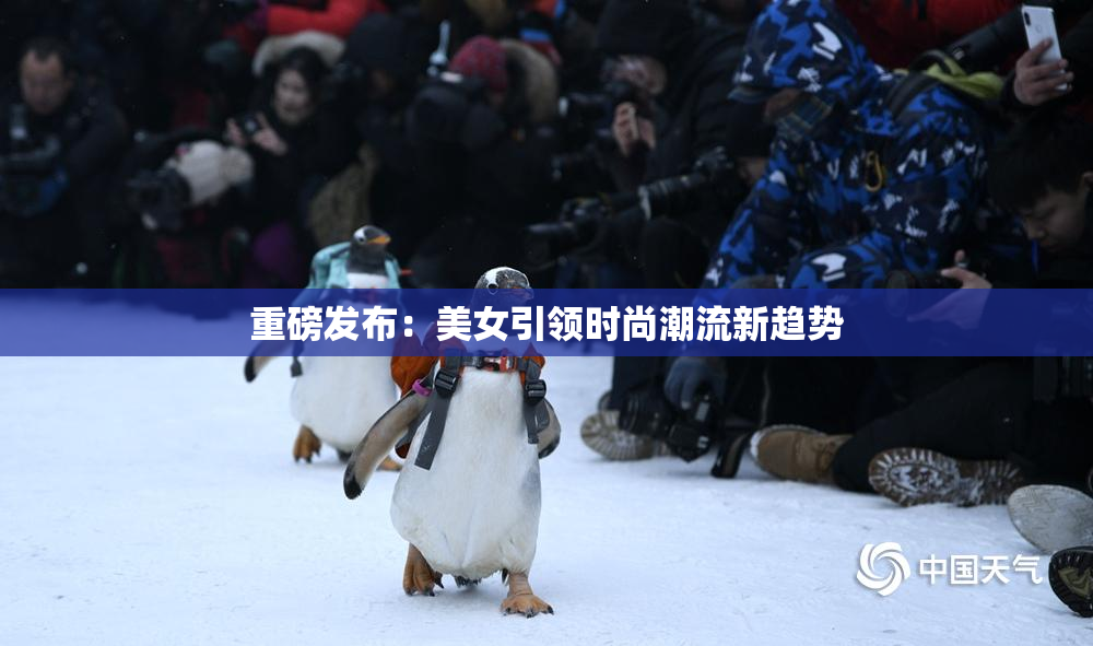 重磅发布：美女引领时尚潮流新趋势