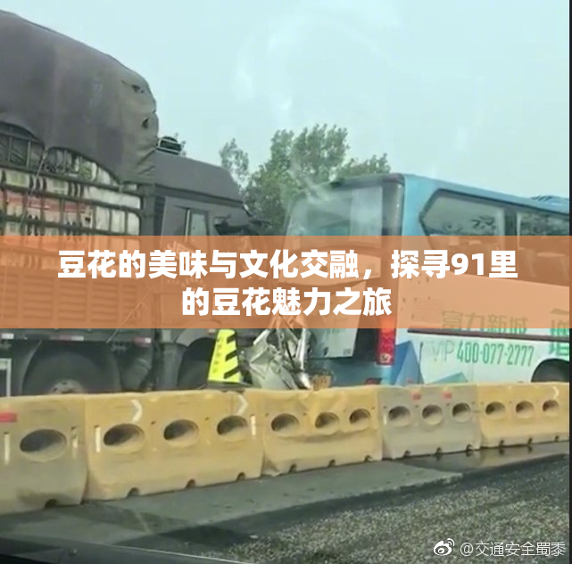 豆花的美味与文化交融，探寻91里的豆花魅力之旅