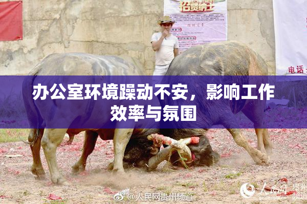 办公室环境躁动不安，影响工作效率与氛围