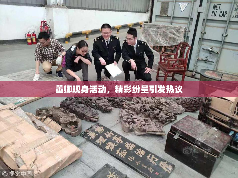 董卿现身活动，精彩纷呈引发热议