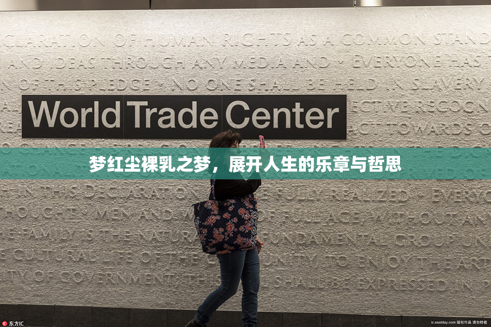 梦红尘裸乳之梦，展开人生的乐章与哲思