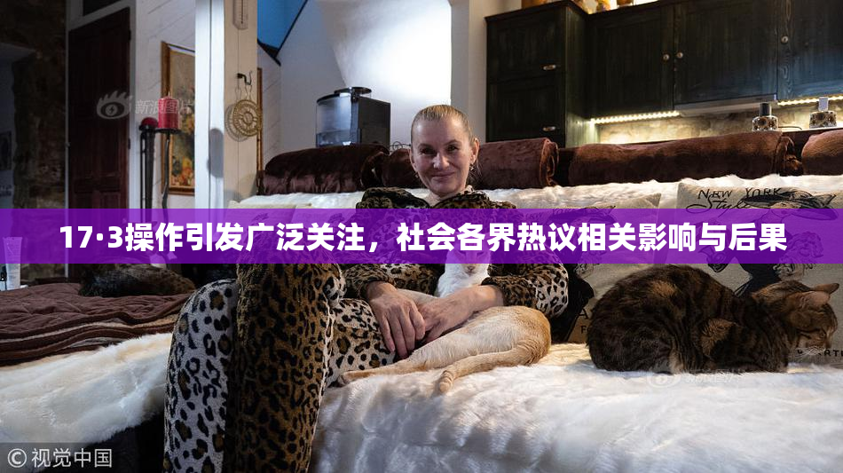 17·3操作引发广泛关注，社会各界热议相关影响与后果