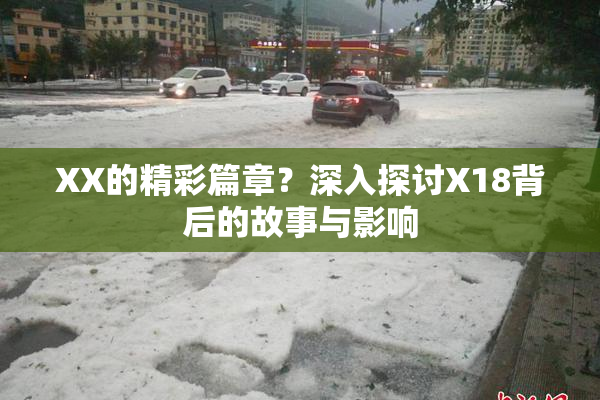 XX的精彩篇章？深入探讨X18背后的故事与影响