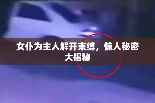 女仆为主人解开束缚，惊人秘密大揭秘