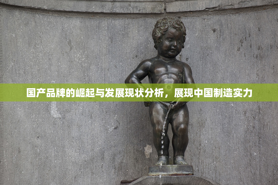 国产品牌的崛起与发展现状分析，展现中国制造实力