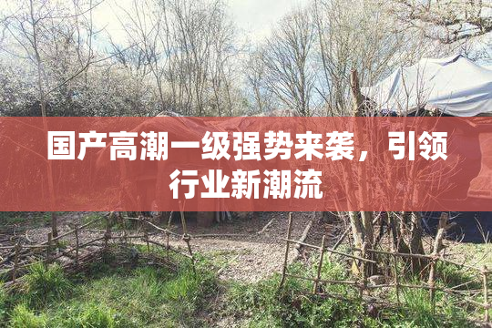 国产高潮一级强势来袭，引领行业新潮流