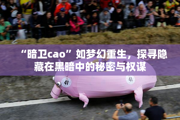 “暗卫cao”如梦幻重生，探寻隐藏在黑暗中的秘密与权谋