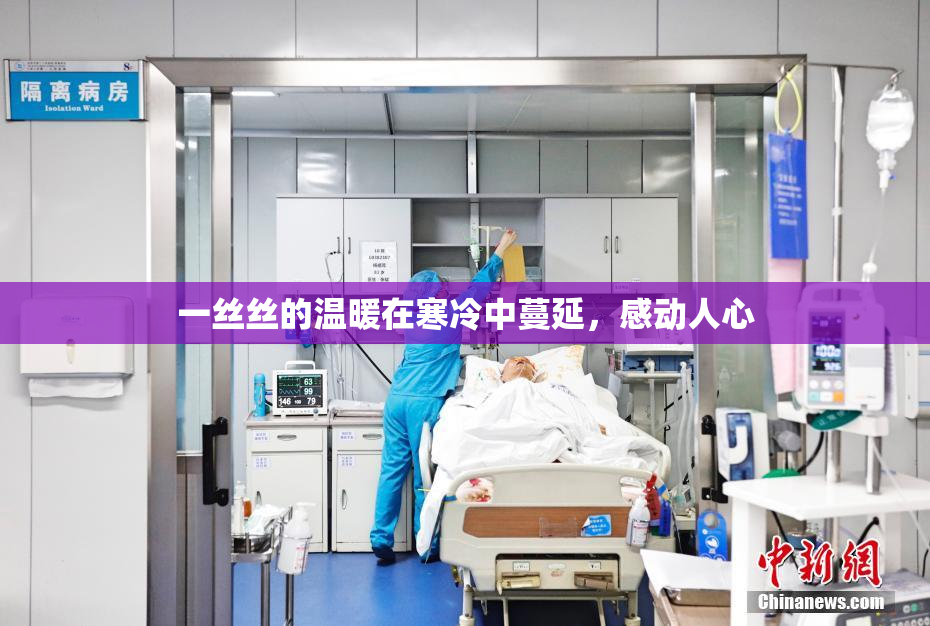 一丝丝的温暖在寒冷中蔓延，感动人心