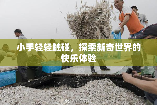 小手轻轻触碰，探索新奇世界的快乐体验