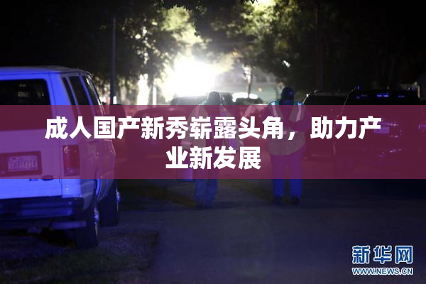 成人国产新秀崭露头角，助力产业新发展