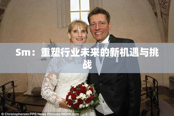 Sm：重塑行业未来的新机遇与挑战