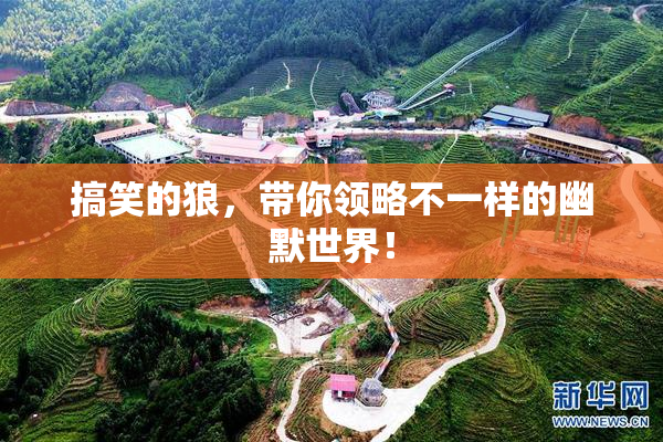 搞笑的狼，带你领略不一样的幽默世界！